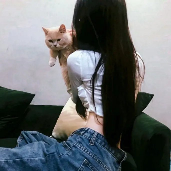 赔了夫人又折兵